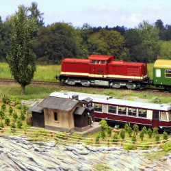 Neue Szenen auf der Gemeinschaftsanlage