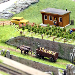 Neue Szenen auf der Gemeinschaftsanlage