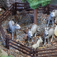 20. Modellbahnausstellung im Sächsisch-Böhmischen Bauernmarkt Röhrsdorf