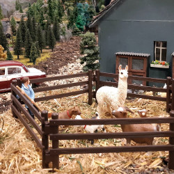 Ausstellung in Röhrsdorf 2023