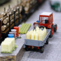 H0-Clubanlage  - Modelleisenbahnclub Kreischa e.V.